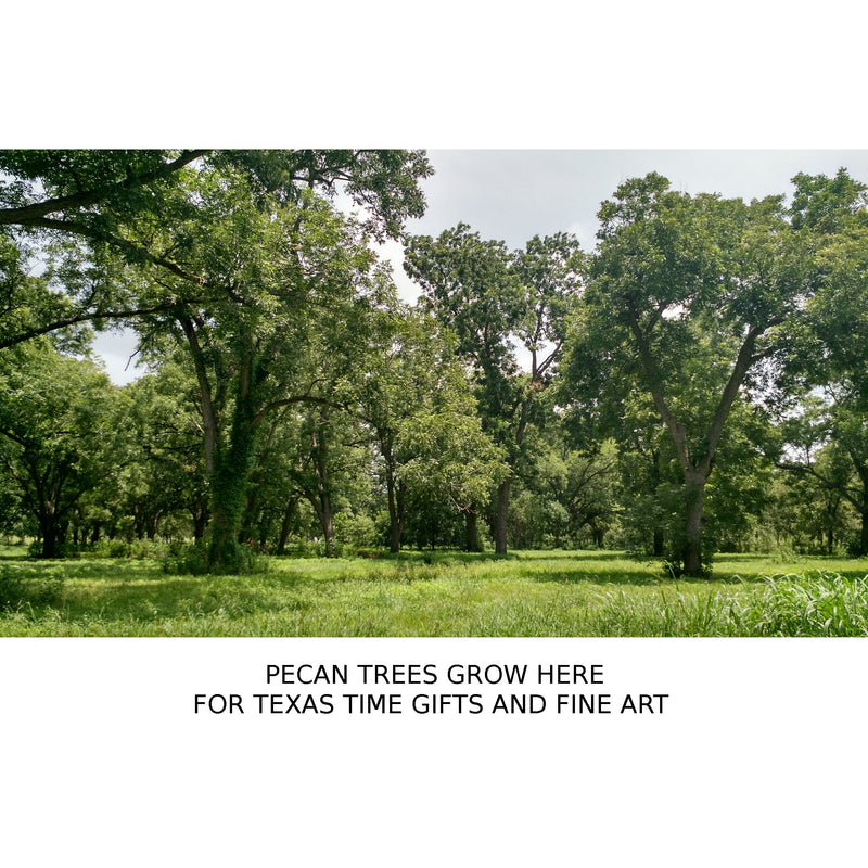 "Post Oak Island" Texas Pecan Hardwood Letter Opener - Texas Time Gifts and Fine Art